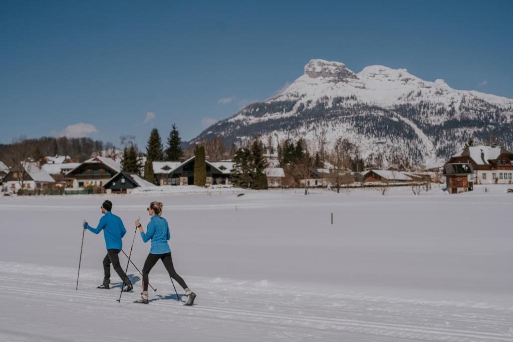 Ausseerland Apartments - Relax, Ski, Hike And Bike, Garden, Parking, Bbq, Near Hallstatt, Loser, Tauplitz And Krippenstein, Free Wi-Fi And Netflix Bad Aussee Room photo