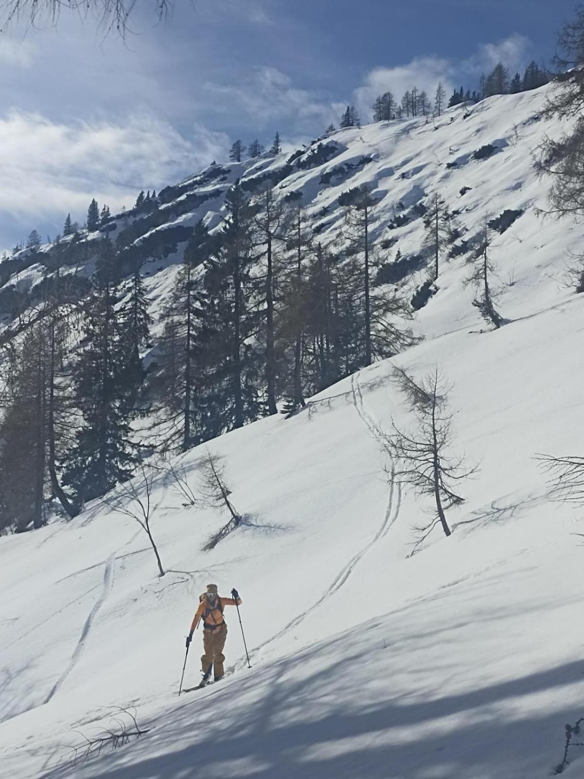 Ausseerland Apartments - Relax, Ski, Hike And Bike, Garden, Parking, Bbq, Near Hallstatt, Loser, Tauplitz And Krippenstein, Free Wi-Fi And Netflix Bad Aussee Exterior photo