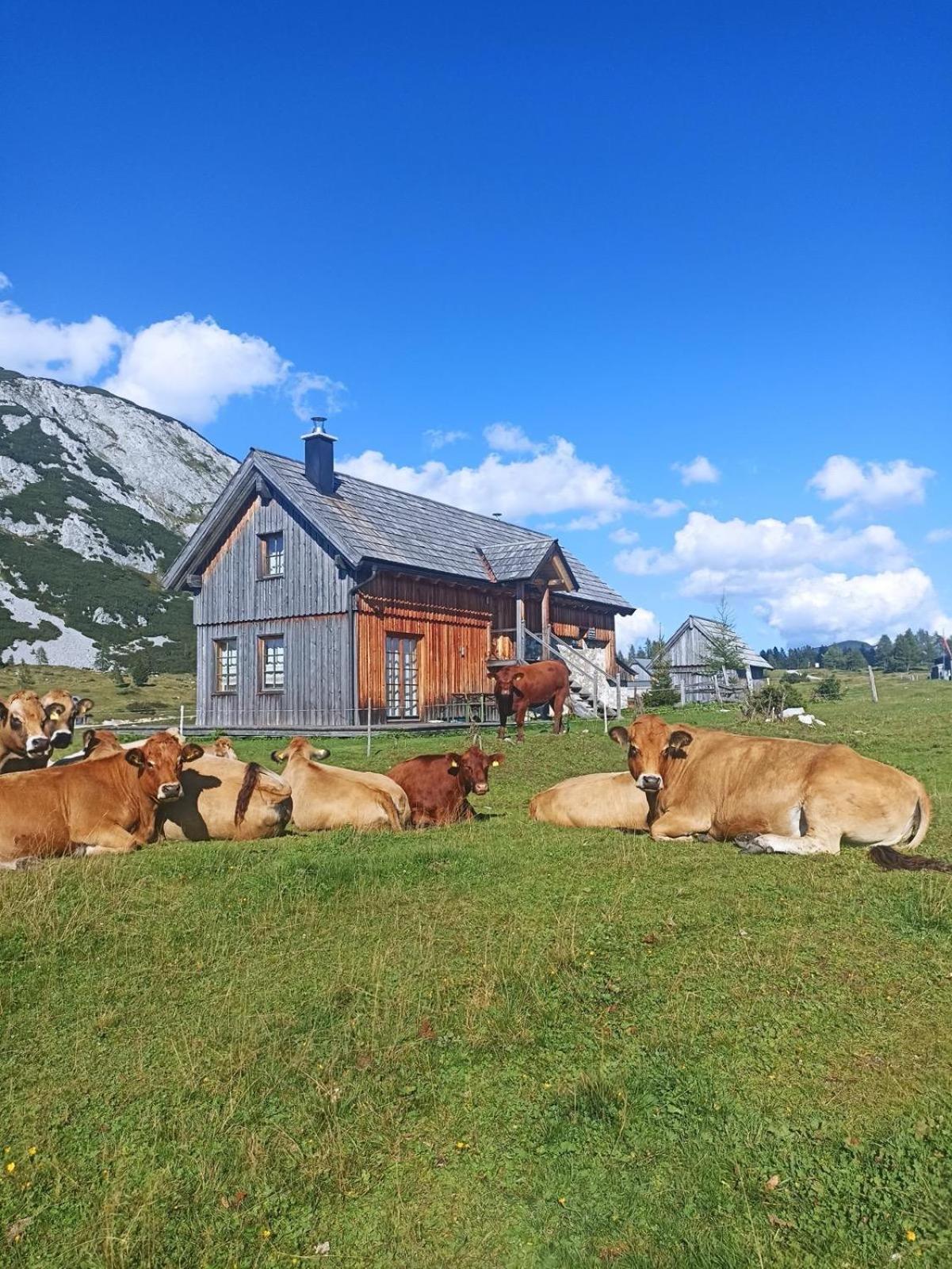 Ausseerland Apartments - Relax, Ski, Hike And Bike, Garden, Parking, Bbq, Near Hallstatt, Loser, Tauplitz And Krippenstein, Free Wi-Fi And Netflix Bad Aussee Exterior photo
